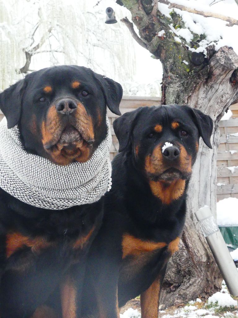à la neige
